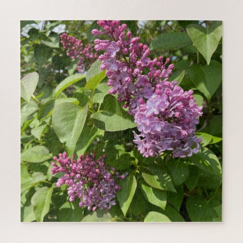 Pink Lilac Blossom Jigsaw Puzzle