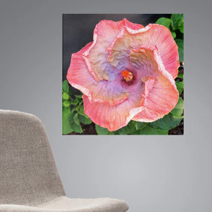 Pink Lilac Hibiscus Floral Botanical Photographic Acrylic Print