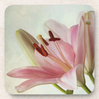 Pink Lilies Coaster
