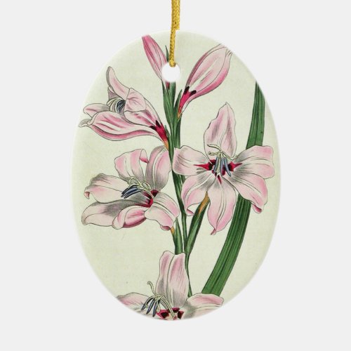 Pink Lilies _ Ornament