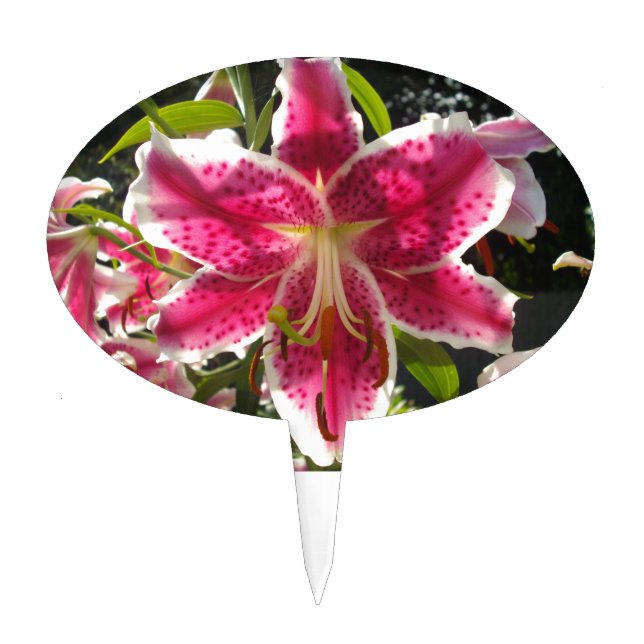 Pink lilies pink tropical flowers pink floral cake topper (Front)