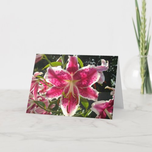 Pink lilies pink tropical flowers pink floral card