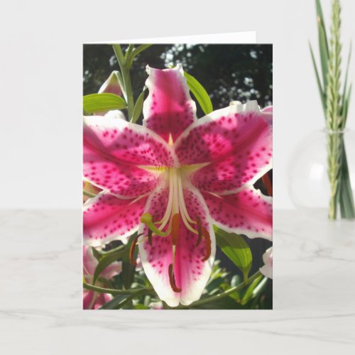 Pink lilies pink tropical flowers pink floral card