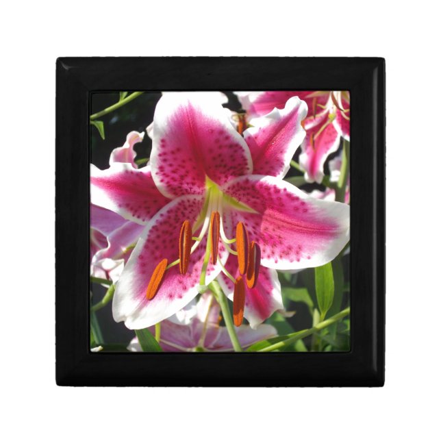 Pink lilies pink tropical flowers pink floral gift box (Front)