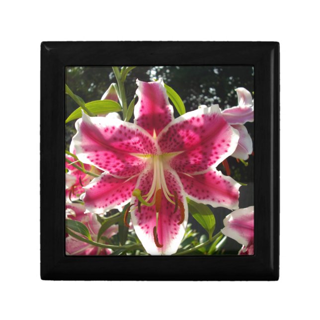 Pink lilies pink tropical flowers pink floral jewelry box (Front)