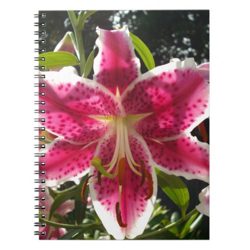 Pink lilies pink tropical flowers pink floral notebook