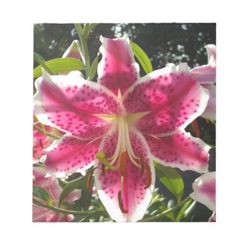 Pink lilies pink tropical flowers pink floral notepad