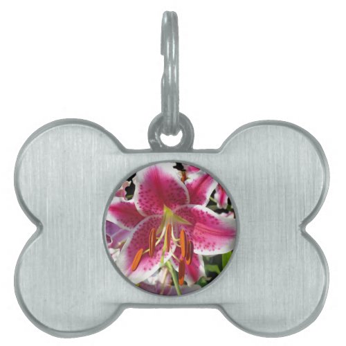 Pink lilies pink tropical flowers pink floral pet ID tag