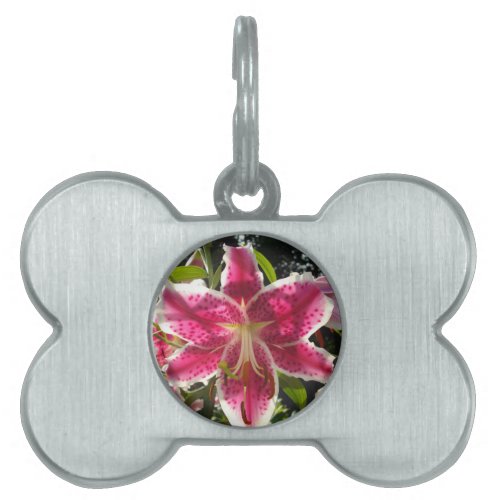 Pink lilies pink tropical flowers pink floral pet tag