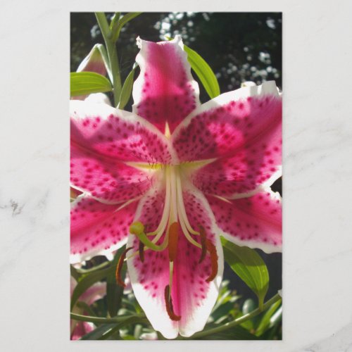 Pink lilies pink tropical flowers pink floral stationery