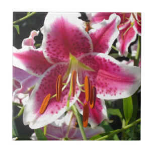 Pink lilies pink tropical flowers pink floral tile