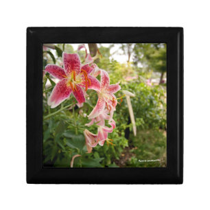Pink Lillies Gift Box
