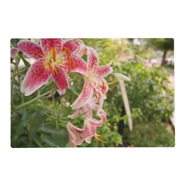 Pink Lillies Placemat (Front)