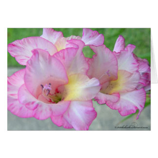 pink lilly_palete knife cards