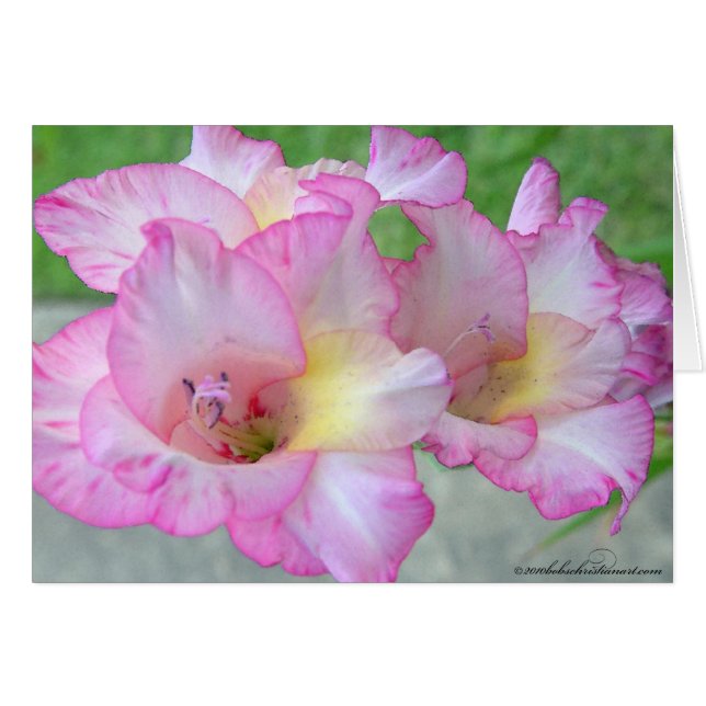 pink lilly_palete knife cards (Front Horizontal)