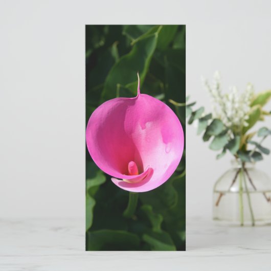 Pink lily (Standing Front)