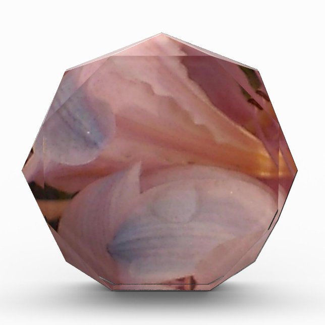 Pink Lily Acrylic Award (Front)