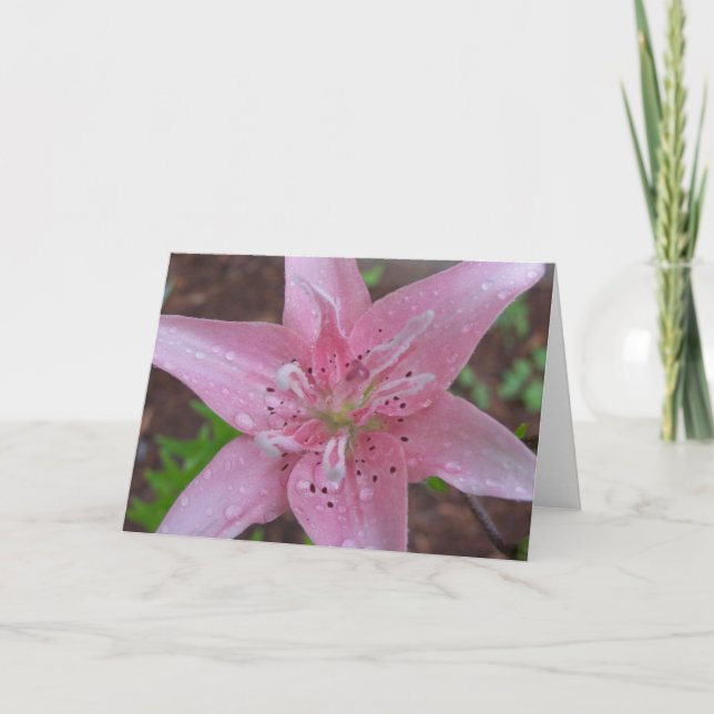 Pink Lily after a shower Card (Front)