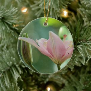 Pink Lily-Bokeh by Shirley Taylor Ceramic Ornament