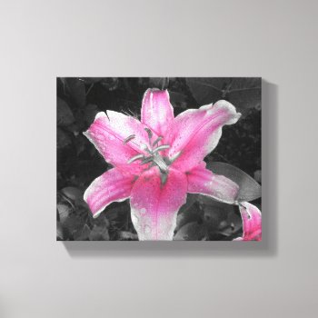 Pink Lily Canvas Print by stuARTcreations at Zazzle