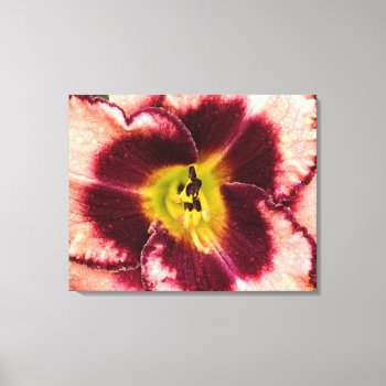 Pink Lily Canvas Wrap Print by artinphotography at Zazzle