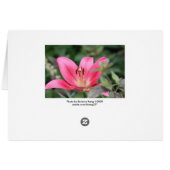 Pink Lily Cards (Back Horizontal)