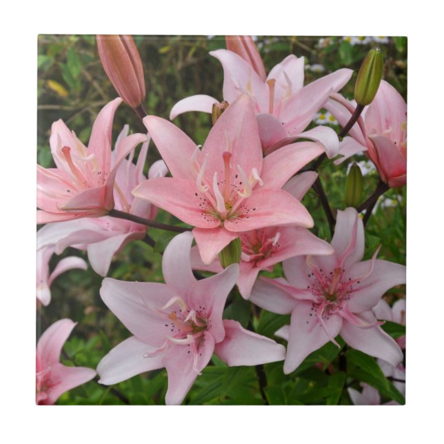 Pink lily floral beauty  ceramic tile (Front)