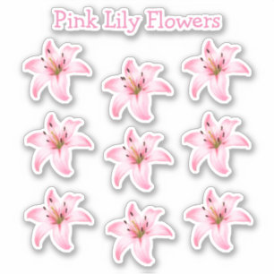 Pink Lily Flowers Shape Nature Sticker