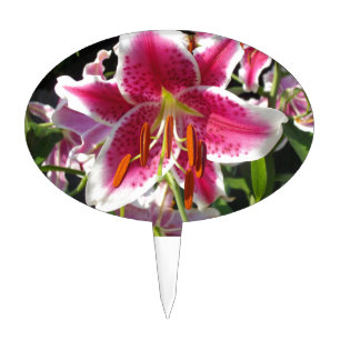 Pink lily pink floral pink flower tropical flower cake topper
