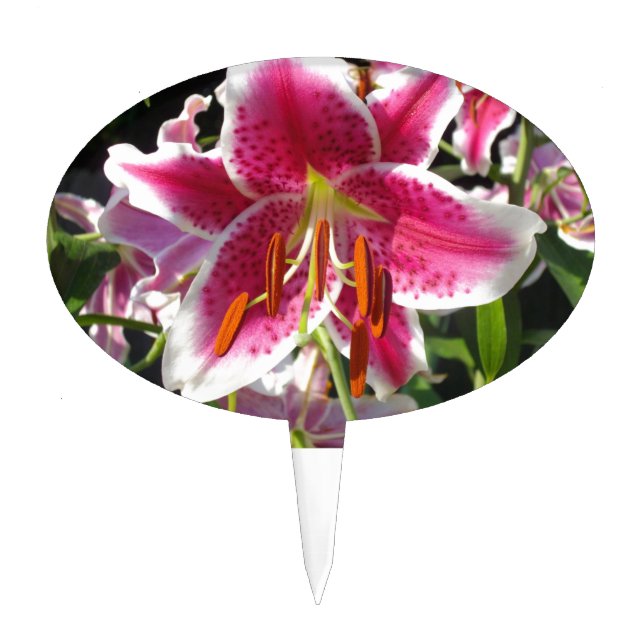 Pink lily pink floral pink flower tropical flower cake topper (Front)