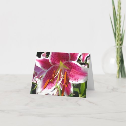 Pink lily pink floral pink flower tropical flower card