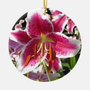 Pink lily pink floral pink flower tropical flower ceramic ornament
