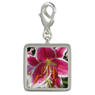 Pink lily pink floral pink flower tropical flower charm