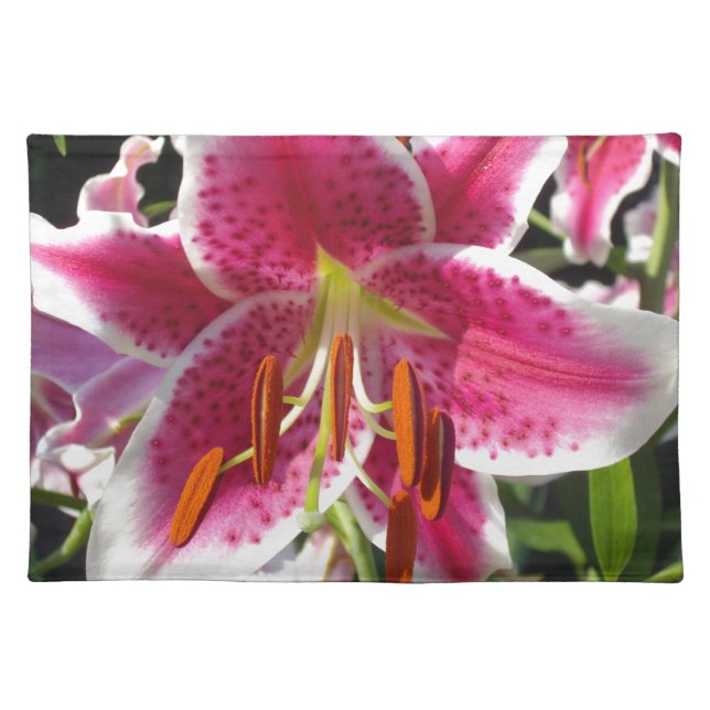 Pink lily pink floral pink flower tropical flower cloth placemat (Front)