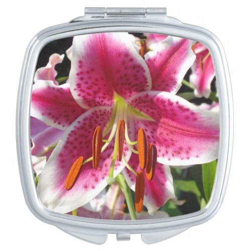 Pink lily pink floral pink flower tropical flower mirror for makeup