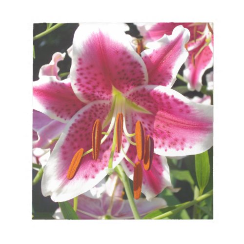 Pink lily pink floral pink flower tropical flower notepad