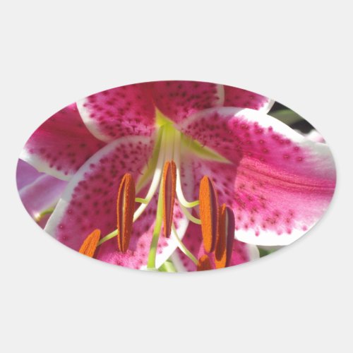 Pink lily pink floral pink flower tropical flower oval sticker