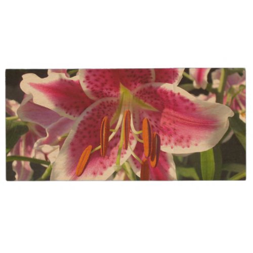 Pink lily pink floral pink flower tropical flower wood USB flash drive