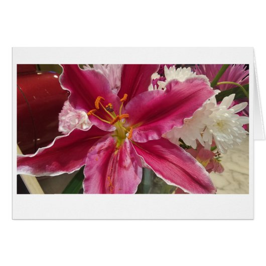 Pink Lily Surprise Cards (Front Horizontal)