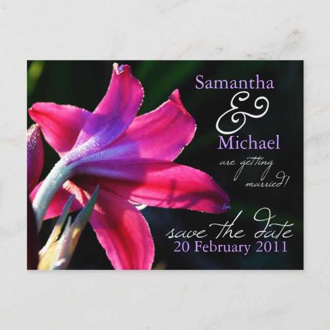 Pink Lily Wedding Save the Date Postcard (Front)