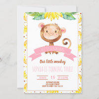 Pink Little Monkey Baby Girl Birthday Party