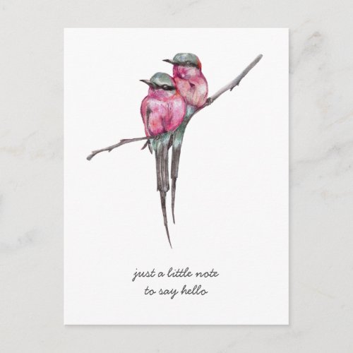 Pink Long Tailed Hummingbirds Thinking of You Postcard