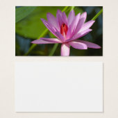 Pink lotus (Front & Back)