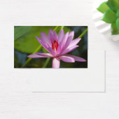Pink lotus (Desk)