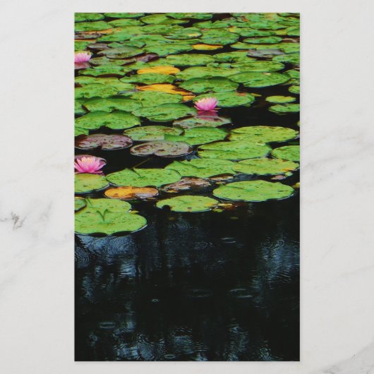 pink lotus black (Front)