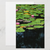 pink lotus black (Front/Back)