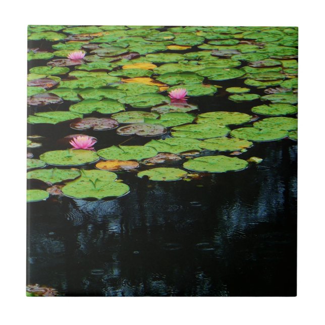 pink lotus black tile (Front)