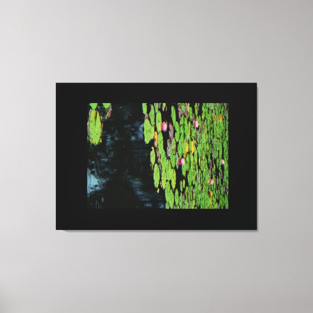 pink lotus black water canvas print (Front)