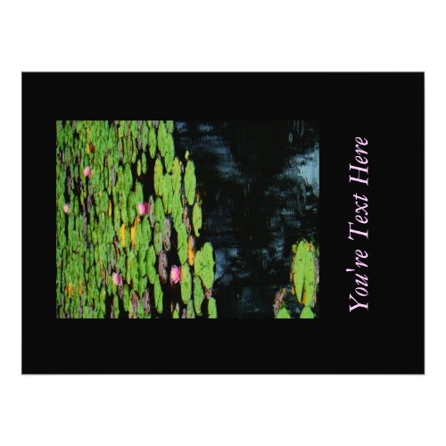 pink lotus black water photo print