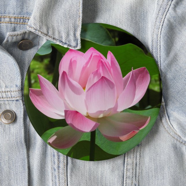 Pink Lotus Bloom Button (In Situ)